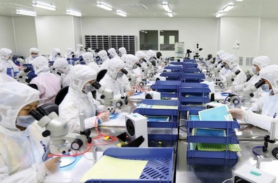 廈門 7萬崗位面朝大海，有色金屬壓延加工行業(yè)誠(chéng)邀英才